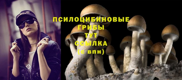 a pvp Белоозёрский