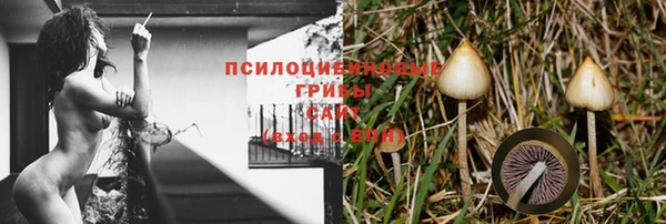 a pvp Белоозёрский